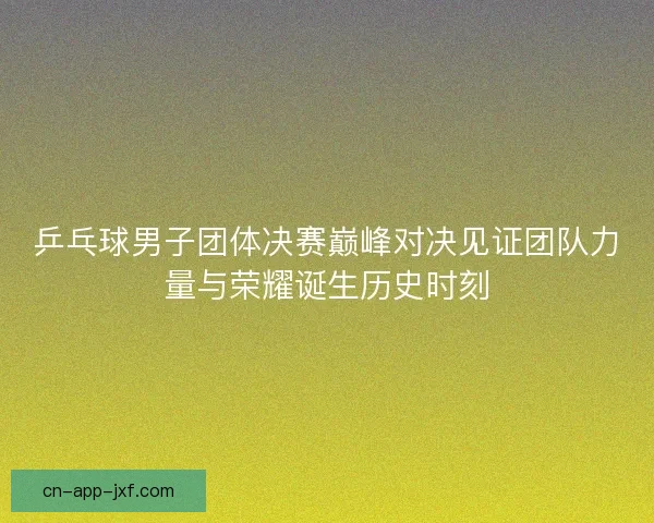 乒乓球男子团体决赛巅峰对决见证团队力量与荣耀诞生历史时刻